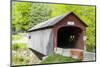 Green River Bridge, Green River, Guilford, Vermont-Susan Pease-Mounted Photographic Print