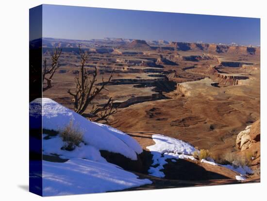 Green River Overlook, Island in the Sky, Canyonlands National Park, Utah, USA-Gavin Hellier-Stretched Canvas