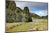 Green Rock and Creek in the Gorge. National Park Landmannalaugar in Iceland-kavram-Mounted Photographic Print