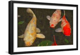 Green Rock Japanese Koi I-erichan-Framed Giclee Print