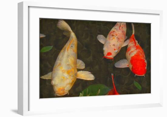 Green Rock Japanese Koi I-erichan-Framed Giclee Print