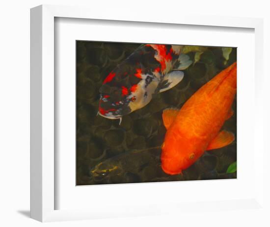 Green Rock Japanese Koi II-erichan-Framed Giclee Print