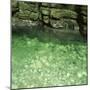 Green Rocks and River-Micha Pawlitzki-Mounted Photographic Print