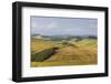 Green rolling hills and farm houses of Crete Senesi (Senese Clays), Province of Siena, Tuscany, Ita-Roberto Moiola-Framed Photographic Print