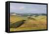 Green rolling hills and farm houses of Crete Senesi (Senese Clays), Province of Siena, Tuscany, Ita-Roberto Moiola-Framed Stretched Canvas