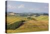 Green rolling hills and farm houses of Crete Senesi (Senese Clays), Province of Siena, Tuscany, Ita-Roberto Moiola-Stretched Canvas