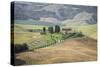 Green rolling hills and farm houses of Crete Senesi (Senese Clays), Province of Siena, Tuscany, Ita-Roberto Moiola-Stretched Canvas