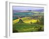 Green Rolling Hills and Spotted Yellow Mustard Flowers, Tuscany, Italy-Janis Miglavs-Framed Premium Photographic Print
