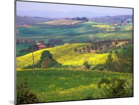 Green Rolling Hills and Spotted Yellow Mustard Flowers, Tuscany, Italy-Janis Miglavs-Mounted Premium Photographic Print