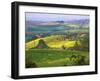 Green Rolling Hills and Spotted Yellow Mustard Flowers, Tuscany, Italy-Janis Miglavs-Framed Photographic Print