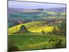 Green Rolling Hills and Spotted Yellow Mustard Flowers, Tuscany, Italy-Janis Miglavs-Mounted Photographic Print