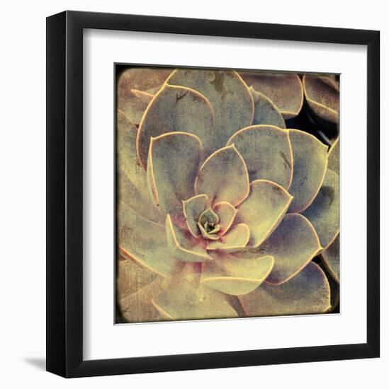 Green Rose IV-Judy Stalus-Framed Art Print