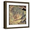 Green Rose IV-Judy Stalus-Framed Art Print