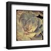 Green Rose IV-Judy Stalus-Framed Art Print