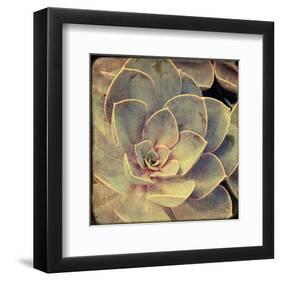 Green Rose IV-Judy Stalus-Framed Art Print