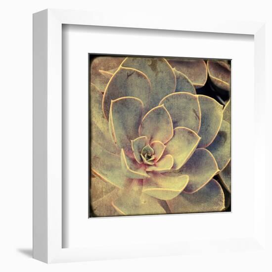 Green Rose IV-Judy Stalus-Framed Art Print