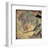 Green Rose IV-Judy Stalus-Framed Art Print