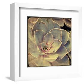 Green Rose IV-Judy Stalus-Framed Art Print