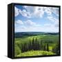 Green Rural Fields and Pine Trees. View from Top of a Hill.-Dudarev Mikhail-Framed Stretched Canvas