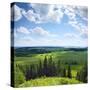 Green Rural Fields and Pine Trees. View from Top of a Hill.-Dudarev Mikhail-Stretched Canvas