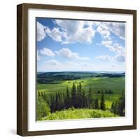 Green Rural Fields and Pine Trees. View from Top of a Hill.-Dudarev Mikhail-Framed Photographic Print