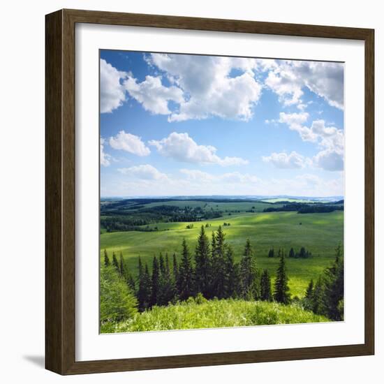 Green Rural Fields and Pine Trees. View from Top of a Hill.-Dudarev Mikhail-Framed Photographic Print