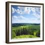 Green Rural Fields and Pine Trees. View from Top of a Hill.-Dudarev Mikhail-Framed Photographic Print