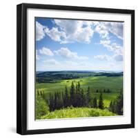 Green Rural Fields and Pine Trees. View from Top of a Hill.-Dudarev Mikhail-Framed Photographic Print