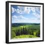 Green Rural Fields and Pine Trees. View from Top of a Hill.-Dudarev Mikhail-Framed Photographic Print