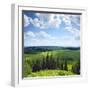 Green Rural Fields and Pine Trees. View from Top of a Hill.-Dudarev Mikhail-Framed Photographic Print