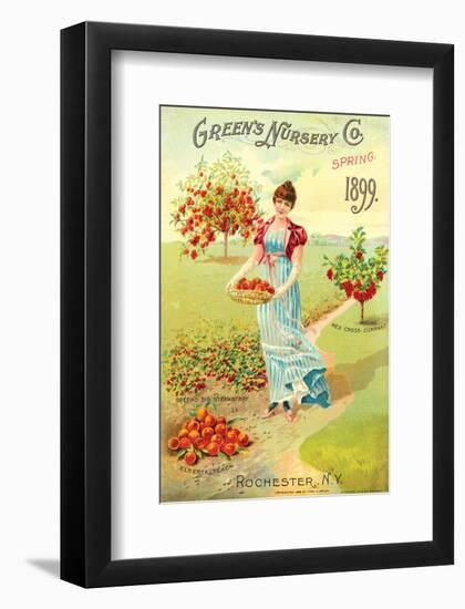 Green's Nursery Co. Rochester-null-Framed Art Print