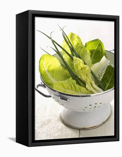 Green Salad and Chives in a Colander-Armin Zogbaum-Framed Stretched Canvas