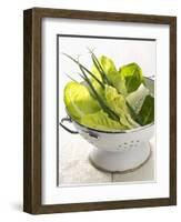 Green Salad and Chives in a Colander-Armin Zogbaum-Framed Photographic Print