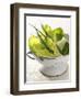 Green Salad and Chives in a Colander-Armin Zogbaum-Framed Photographic Print