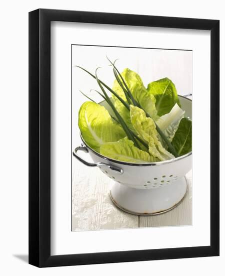 Green Salad and Chives in a Colander-Armin Zogbaum-Framed Photographic Print