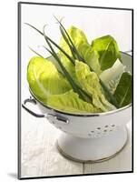 Green Salad and Chives in a Colander-Armin Zogbaum-Mounted Photographic Print