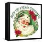 Green Santa Merry Christmas-Allen Kimberly-Framed Stretched Canvas