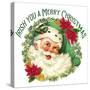 Green Santa Merry Christmas-Allen Kimberly-Stretched Canvas