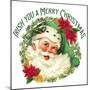 Green Santa Merry Christmas-Allen Kimberly-Mounted Art Print