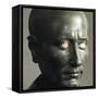 Green Schist Bust of Julius Caesar with Marble Eyes, Detail of Face, 1-50 AD-null-Framed Stretched Canvas