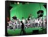 Green Screen-Barry Kite-Framed Stretched Canvas