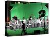 Green Screen-Barry Kite-Stretched Canvas