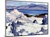 Green Sea, Iona, 1920s-Samuel John Peploe-Mounted Giclee Print