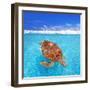 Green Sea Turtle Chelonia Mydas Caribbean Sea Cheloniidae Water Surface-Natureworld-Framed Photographic Print