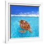Green Sea Turtle Chelonia Mydas Caribbean Sea Cheloniidae Water Surface-Natureworld-Framed Photographic Print