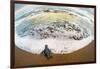 Green Sea Turtle (Chelonia Mydas) Hatchling on Beach, Tortuguero, Costa Rica-null-Framed Photographic Print