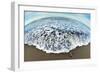 Green Sea Turtle (Chelonia Mydas) Hatchling, Tortuguero, Costa Rica-null-Framed Photographic Print