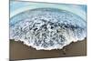 Green Sea Turtle (Chelonia Mydas) Hatchling, Tortuguero, Costa Rica-null-Mounted Photographic Print