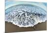 Green Sea Turtle (Chelonia Mydas) Hatchling, Tortuguero, Costa Rica-null-Mounted Photographic Print