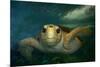 Green sea turtle (Chelonia mydas) head detail, Kailua-Kona, Hawaii-Andre Seale-Mounted Photographic Print